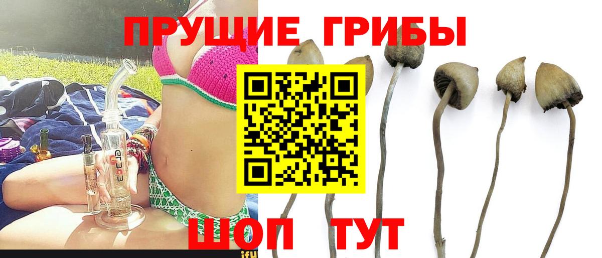 Псилоцибиновые грибы Psilocybe  Вход с VPN  Галлюциногенные грибы Magic Shrooms  Муром 